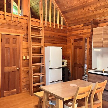 Hakuba Brownie Cottages Экстерьер фото